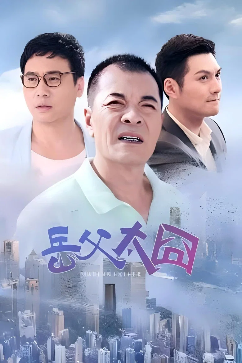 摩登岳父 poster