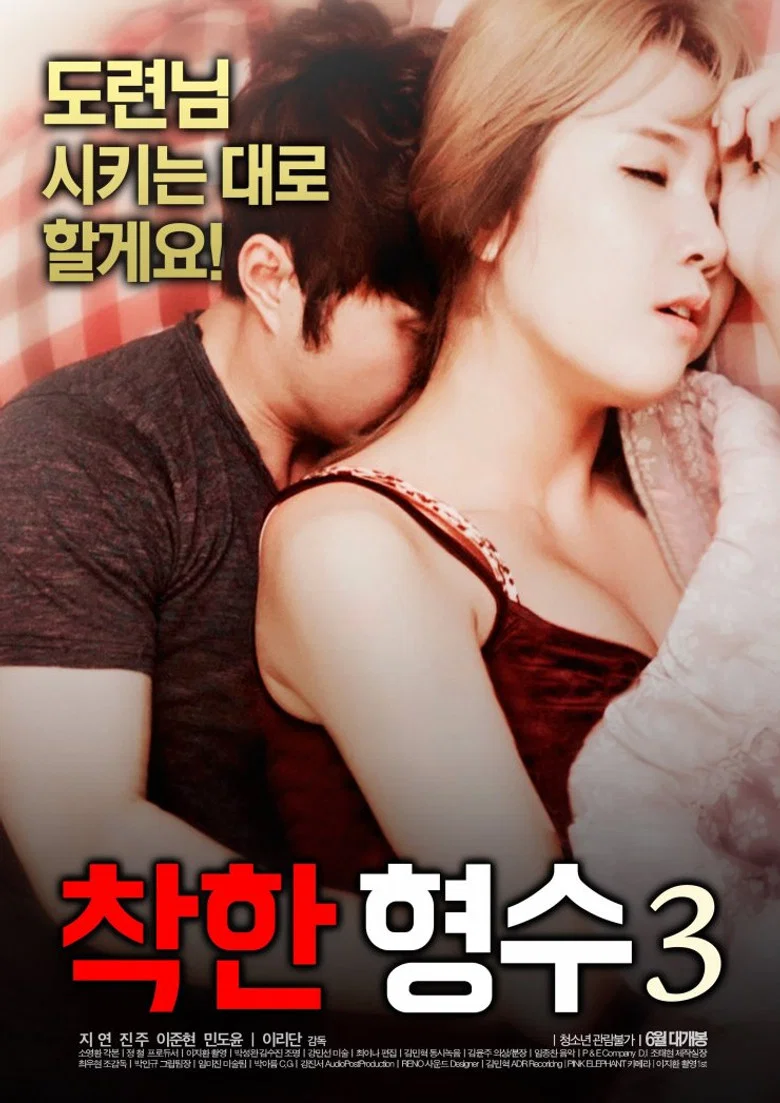 Nice Sister-In-Law 3 poster