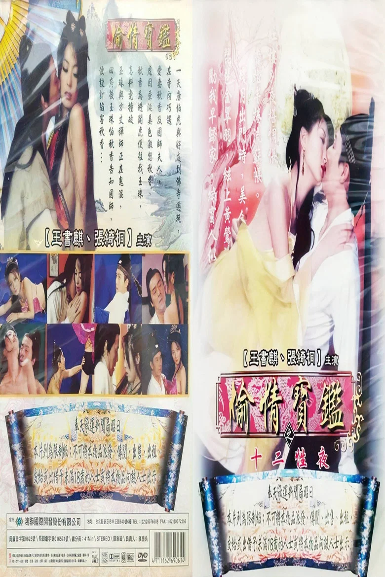 偷情宝鉴之欲海无涯 poster