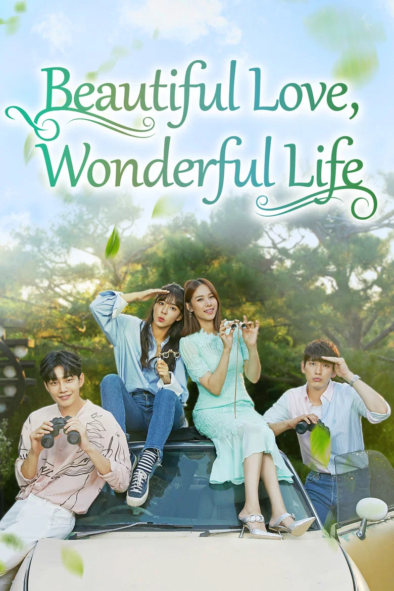 Beautiful Love, Wonderful Life poster