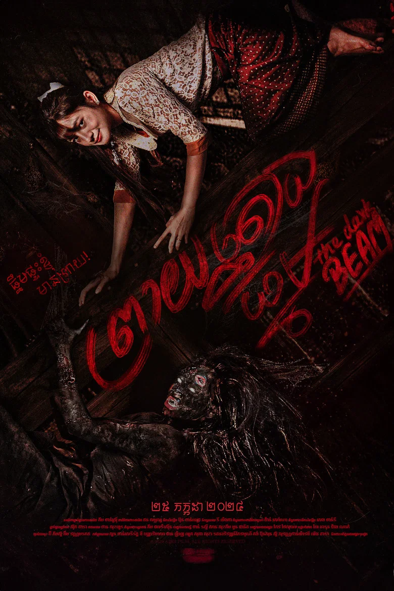 The Dark Beam poster