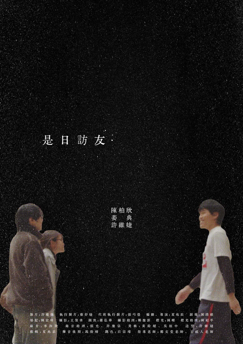 Pleasant Visit poster
