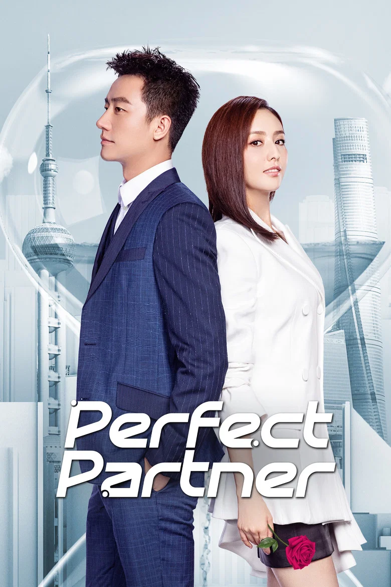 Perfect Partner poster