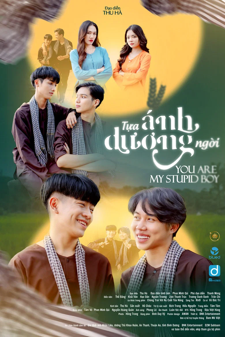 You Are My Stupid Boy poster