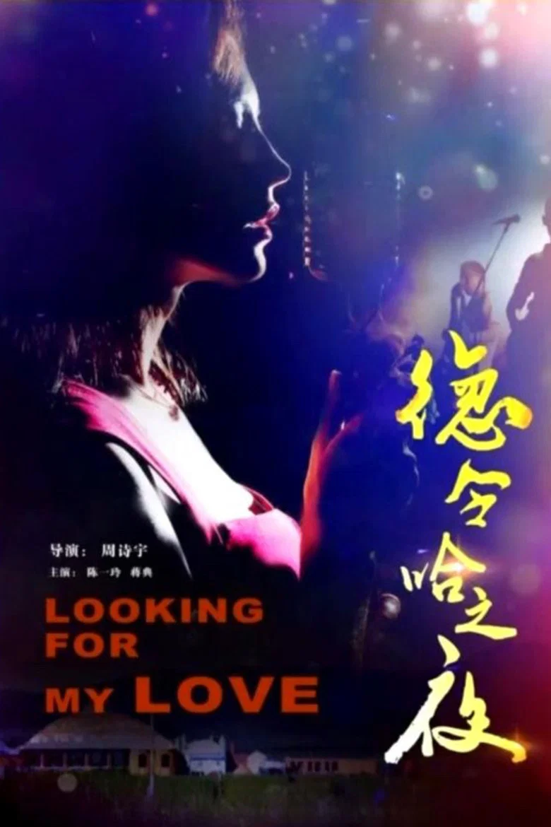 Delhi Night poster