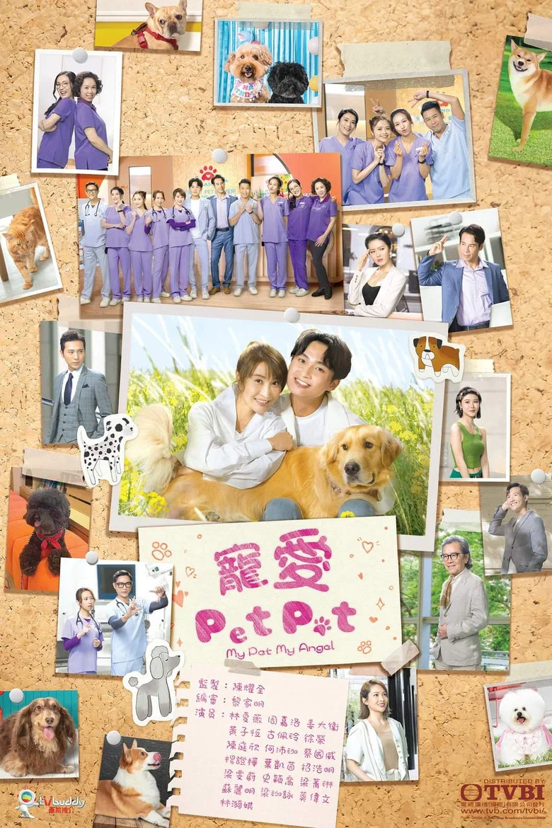 My Pet My Angel poster