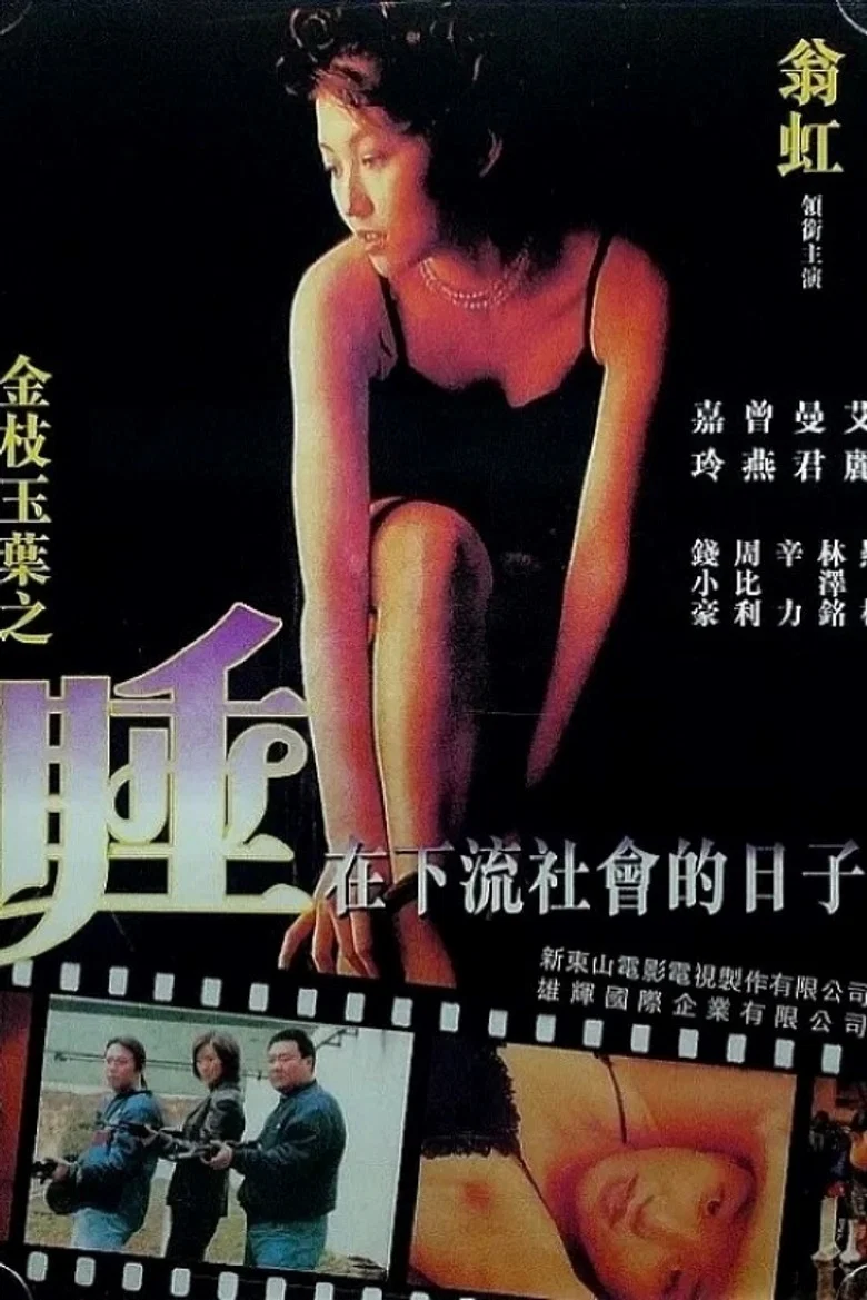 Undercover Girls poster