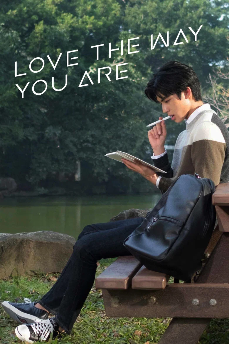 Love The Way You Are poster