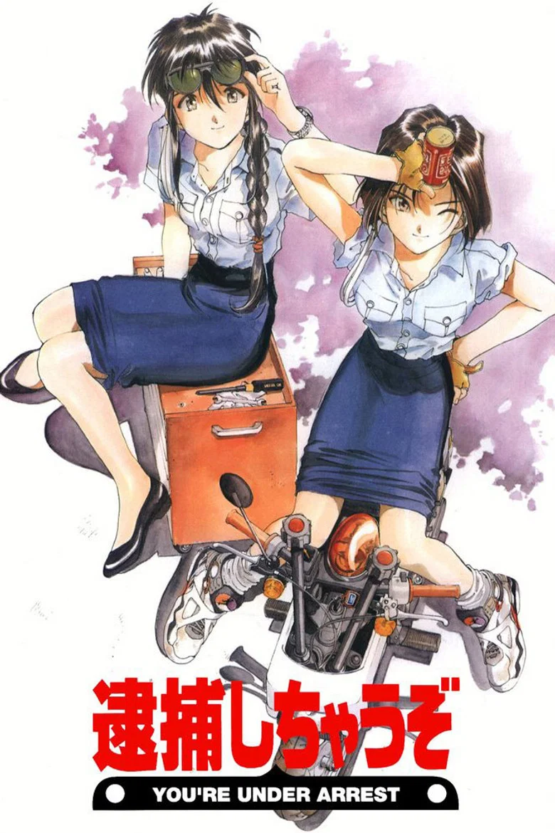 You're Under Arrest! poster