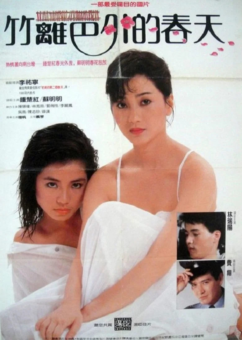 The Spring Outside the Fence poster