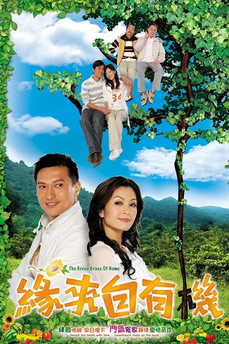 The Green Grass of Home poster