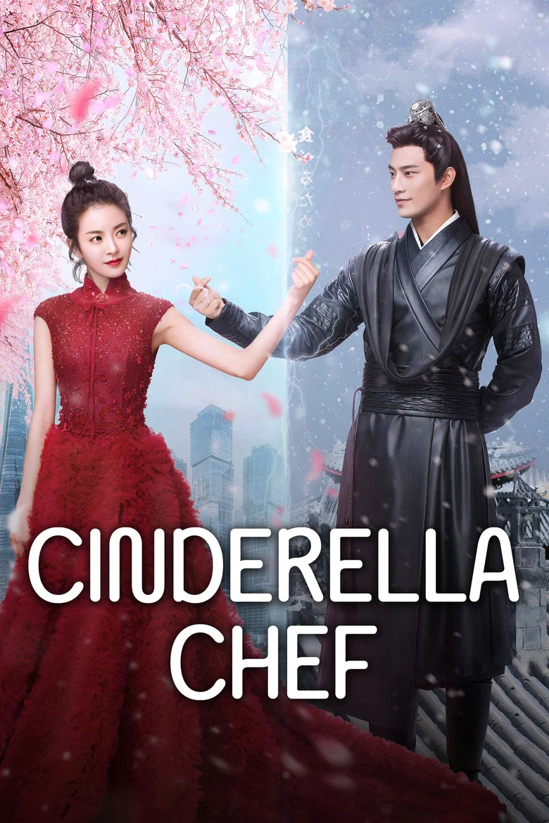 Cinderella Chef poster