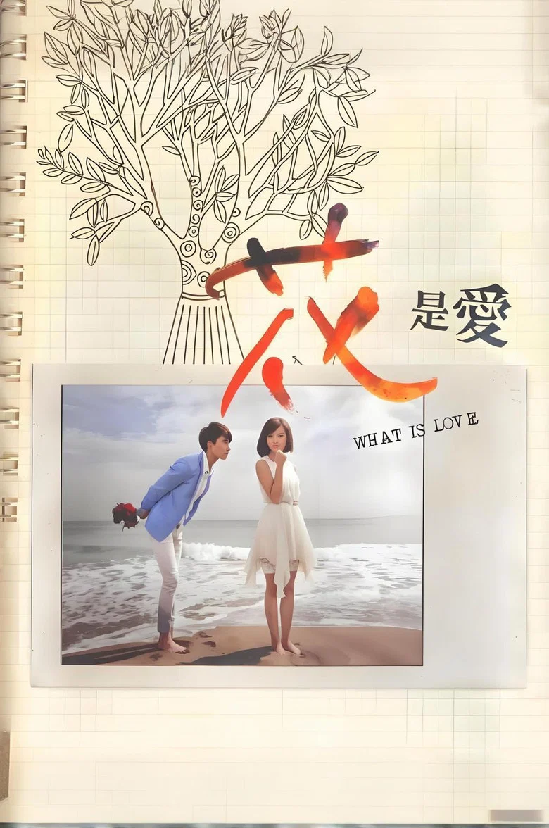 What is Love poster
