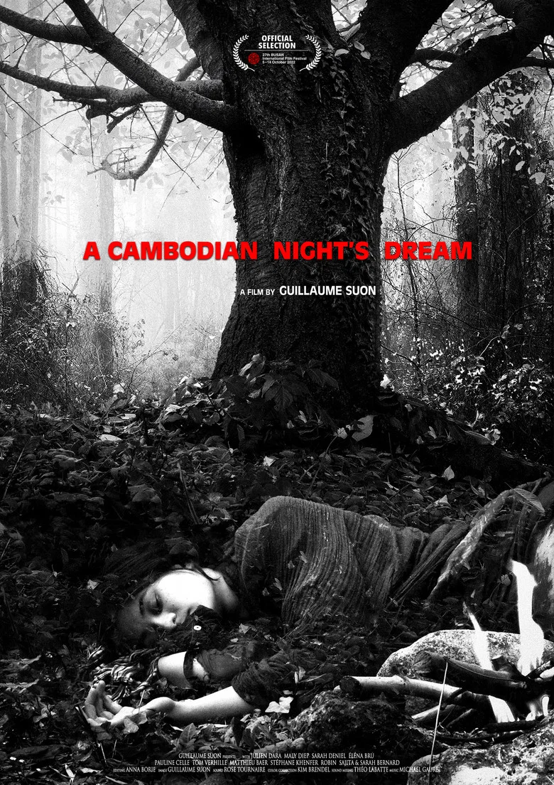 A Cambodian Night′s Dream poster