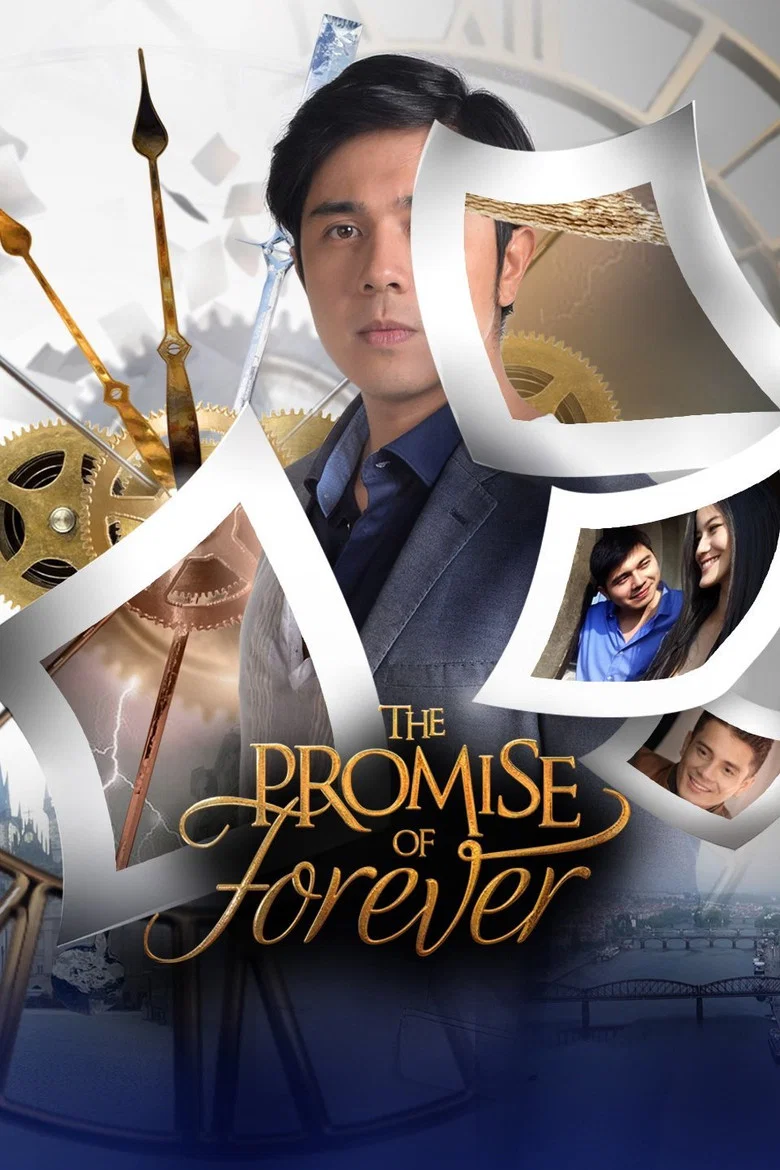 The Promise of Forever poster