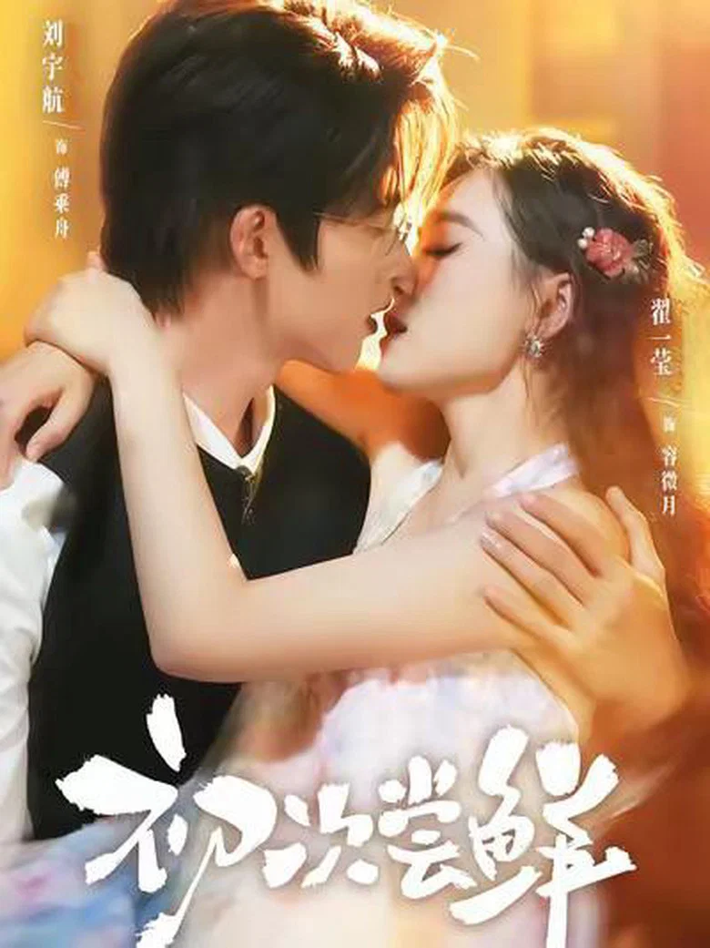初次尝鲜 poster