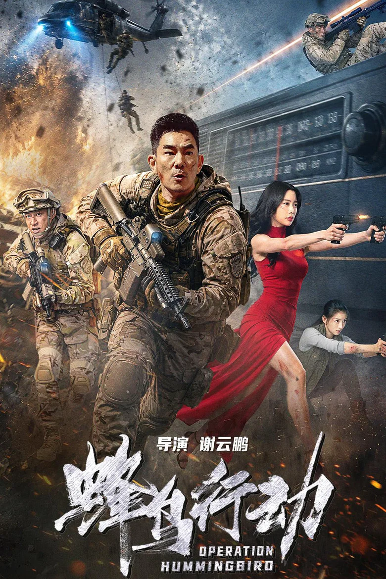 Operation Hummingbird poster