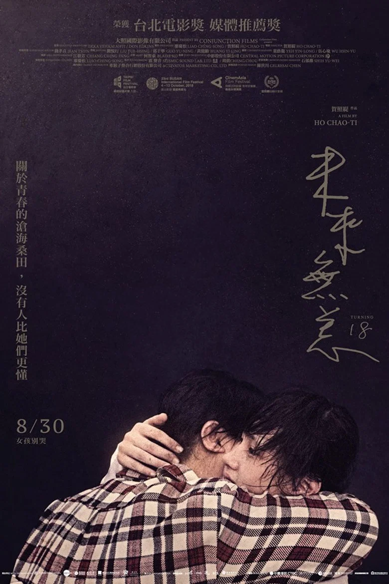 Turning 18 poster