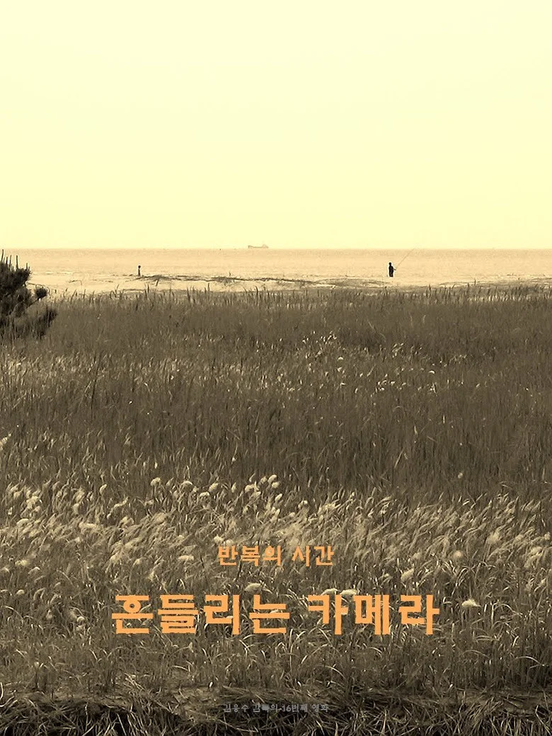 wandering camera poster