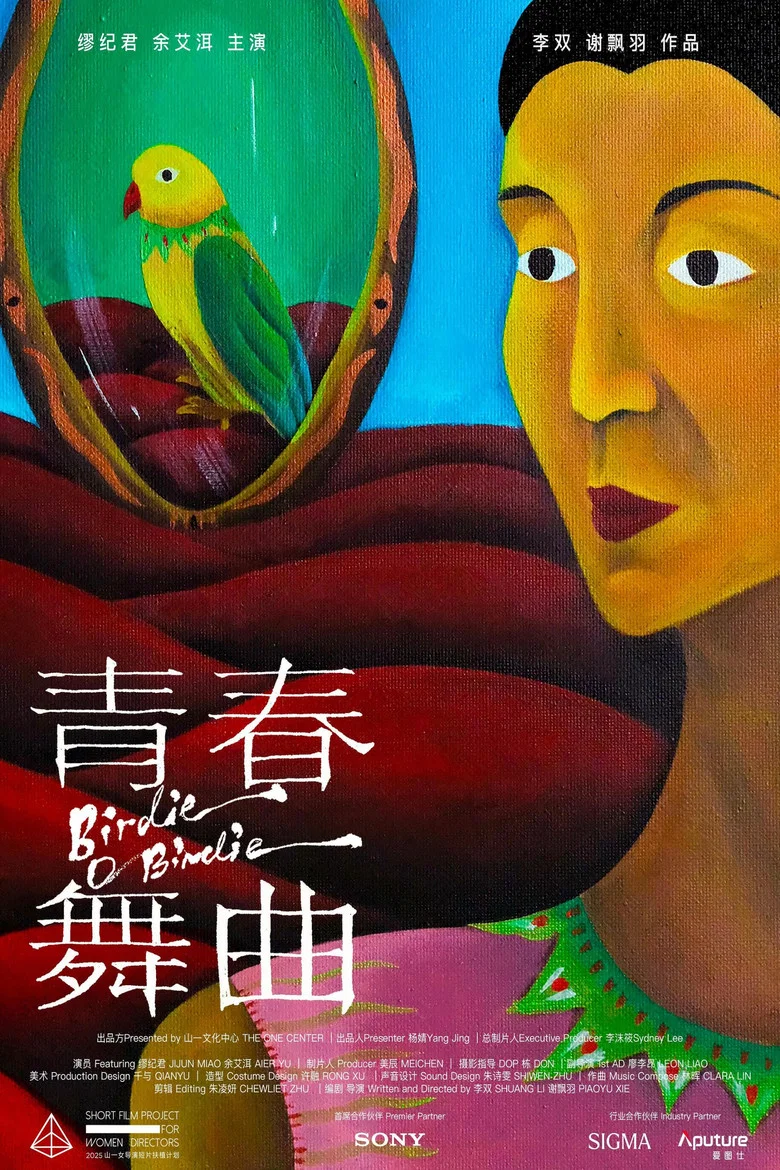 Birdie O Birdie poster