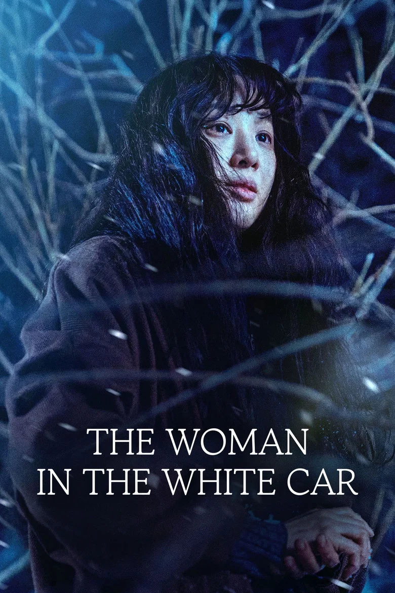 The Woman in the White Car poster