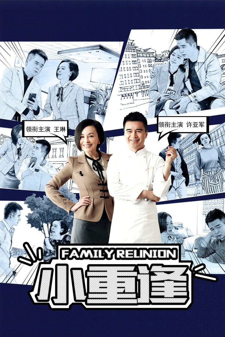 Family Reunion poster