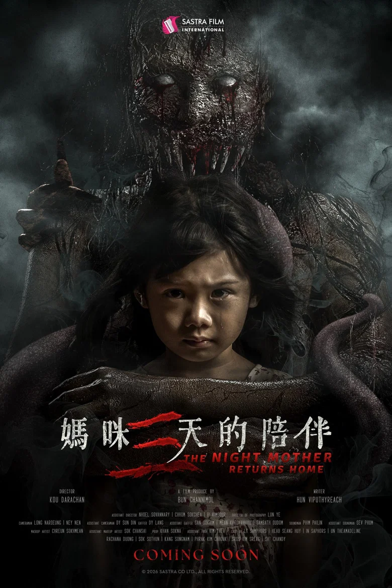 The Night Mother Returns Home poster