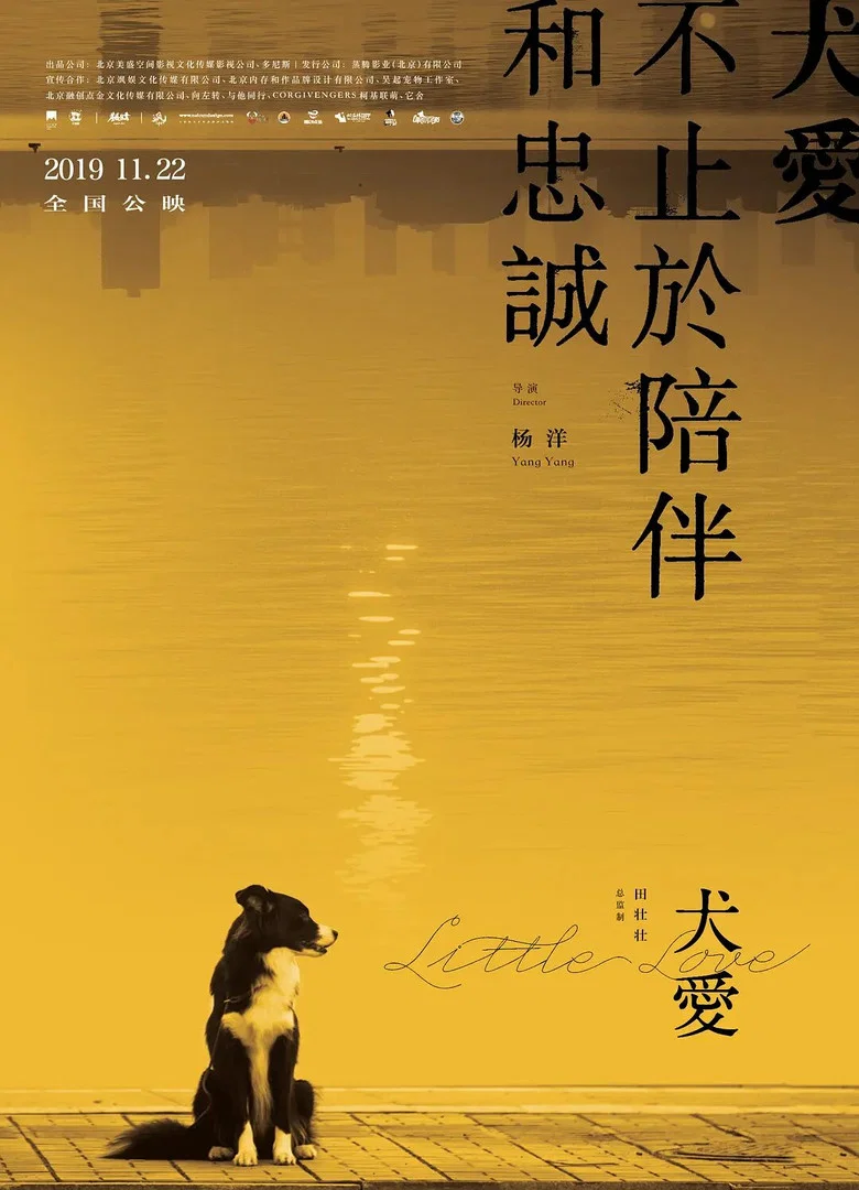 Little Love poster