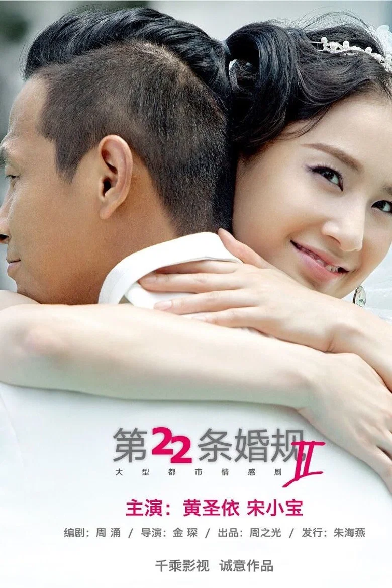 第22条婚规2 poster