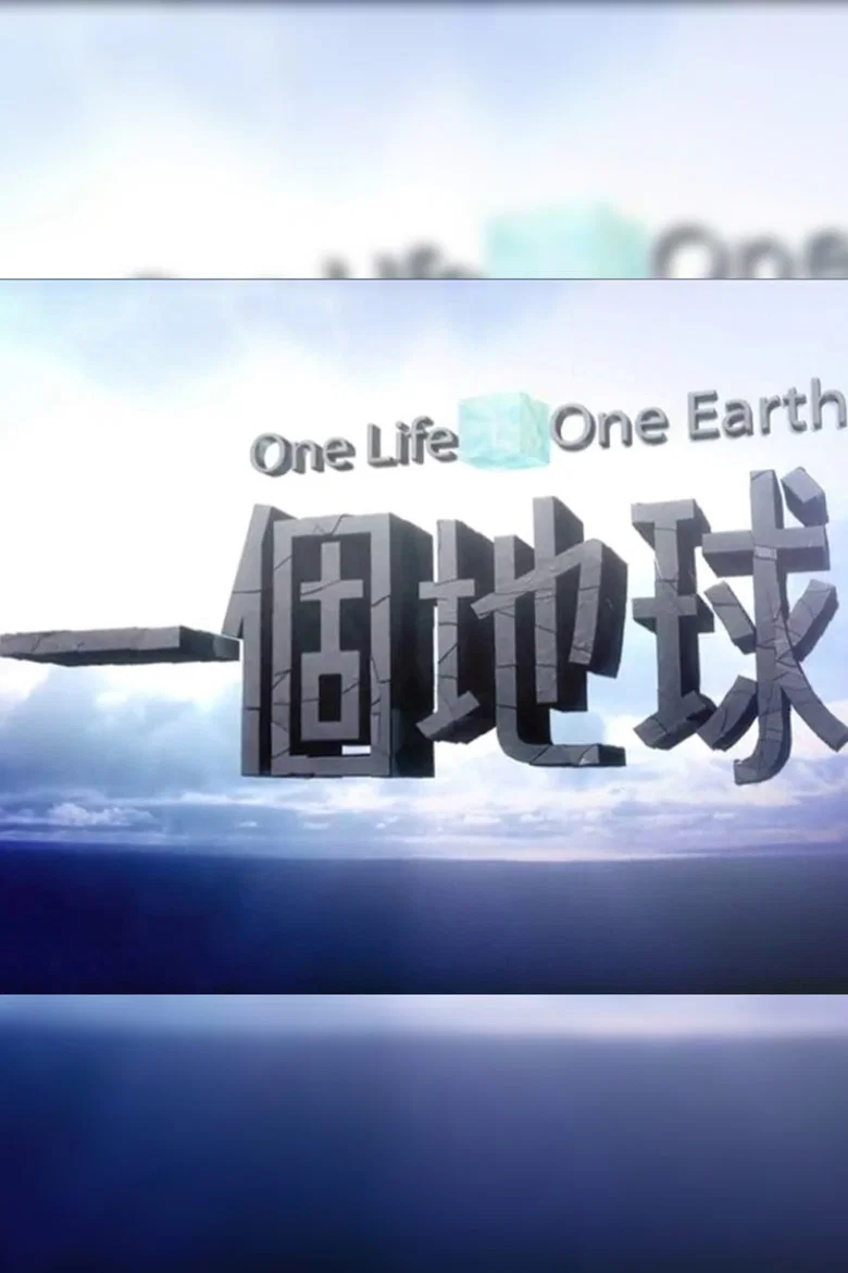 一個地球 poster