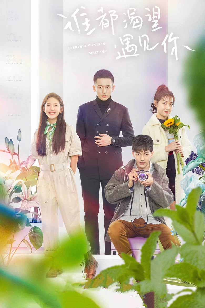 Everyone Wants to Meet You poster