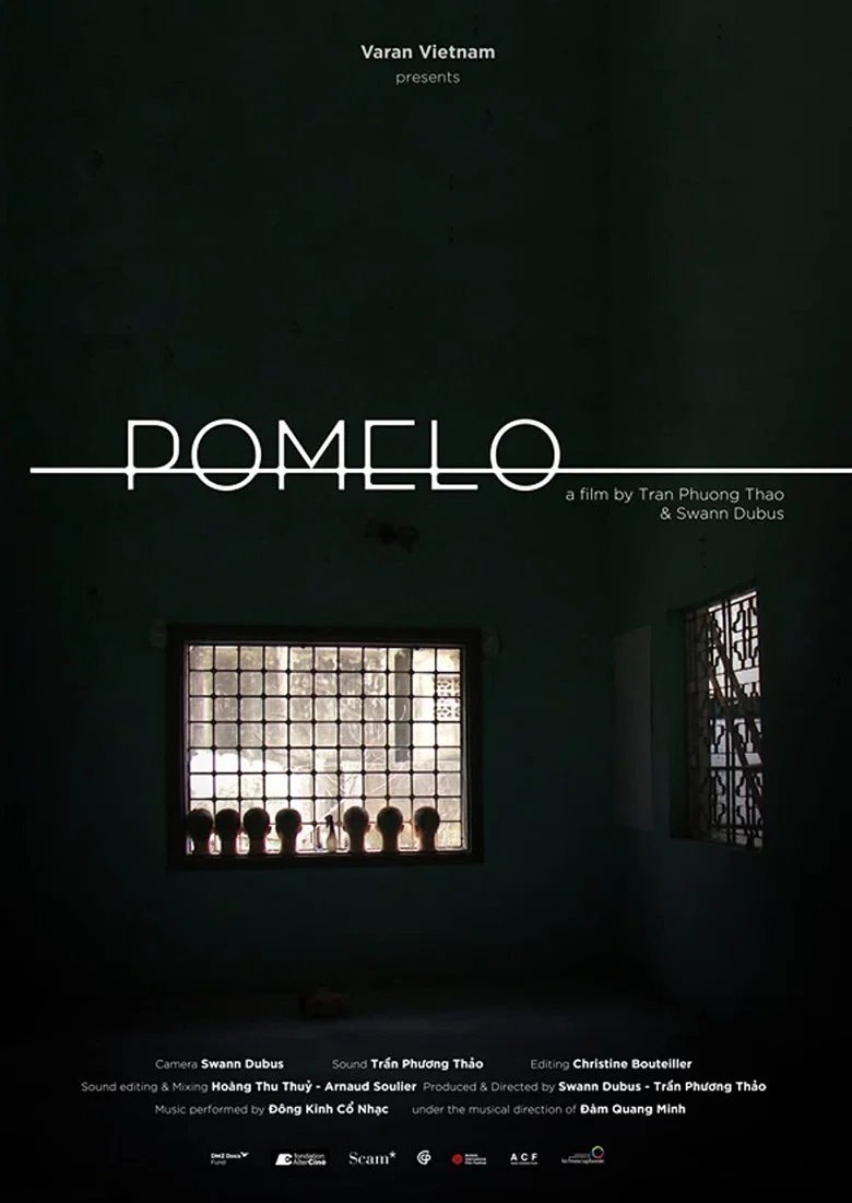 Pomelo poster