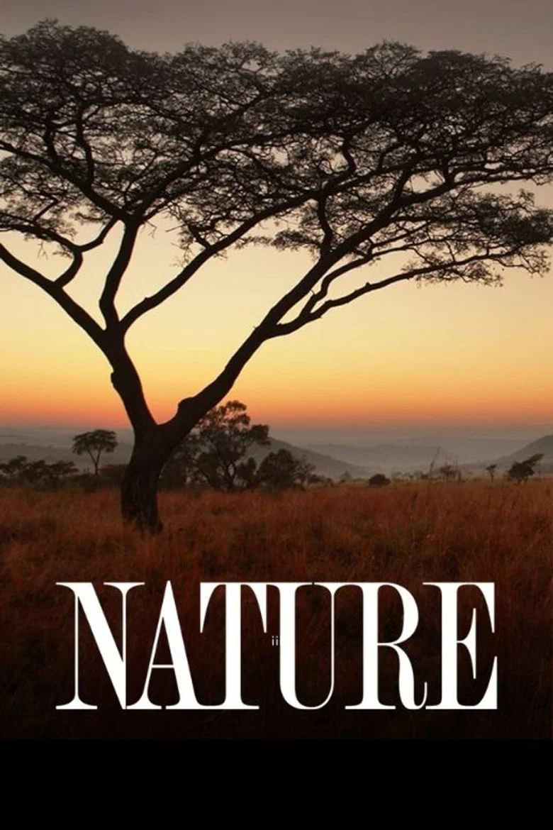 Nature poster