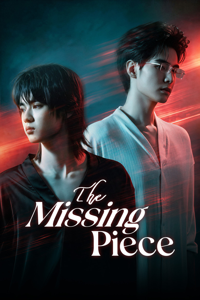 The Missing Piece poster
