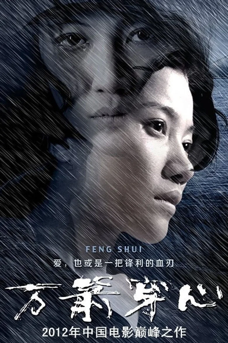 Feng Shui poster