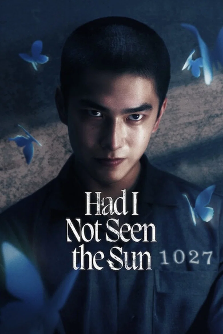 Had I Not Seen the Sun poster
