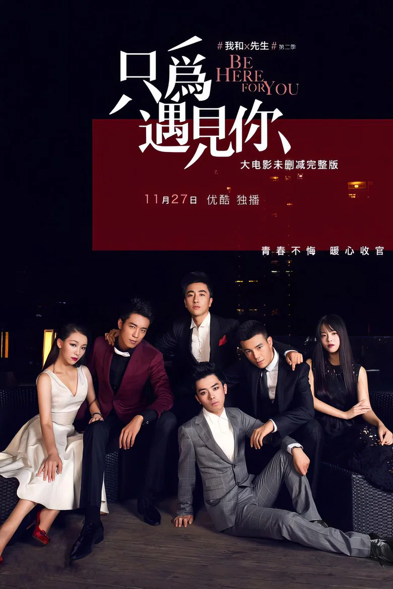 我和X先生：只为遇见你 poster