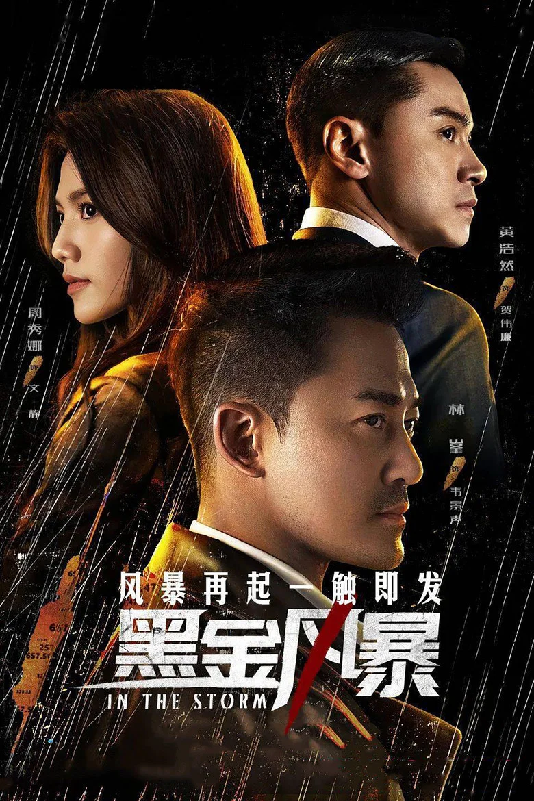 In the Storm poster