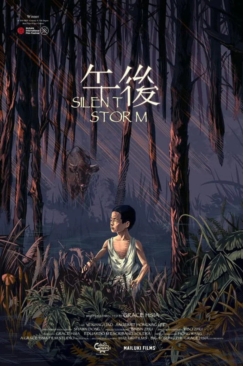 Silent Storm poster