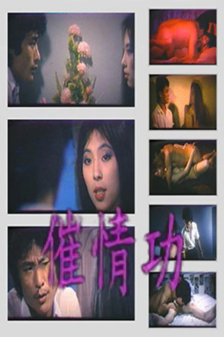 催情功 poster