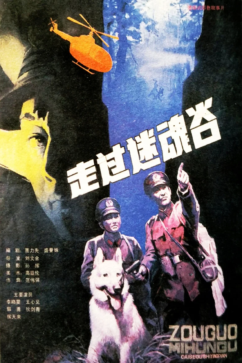 Go Through A Magic Valley poster