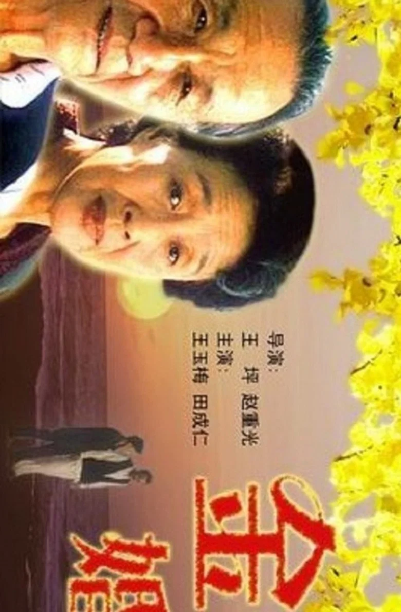 Golden Marriage poster