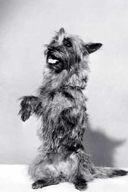 Photo of Terry
